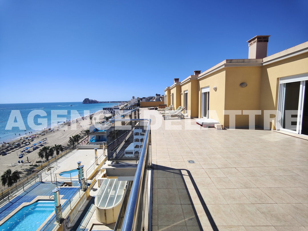 215-IMG20230831121449 (Copiar).jpg
